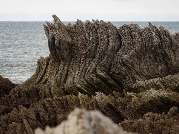 Rocky engebeli kıyı şeridi jeolojik katmanlı kaya oluşumları, Kaikoura Yarımadası Pasifik Okyanusu kıyısı Canterbury Güney Adası Yeni Zelanda