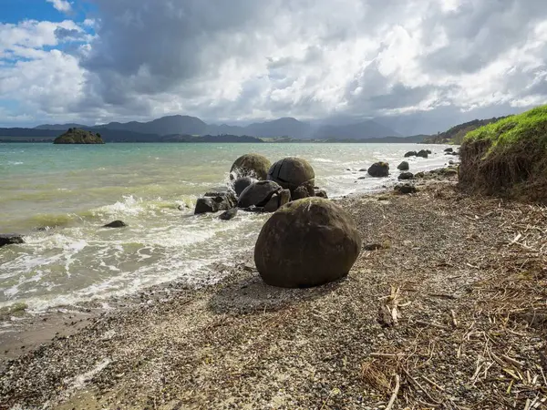 Koutu Boulders küresel yuvarlak şekilli kaya oluşumları Hokianga Limanı sahil kıyısı Opononi Northland Kuzey Yeni Zelanda 'daki beton jeolojik fenomen.