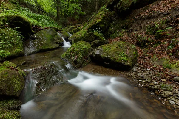 Una Cascata Mezzo Una Magica Natura Selvaggia Rocce Ricoperte Muschio — Foto Stock