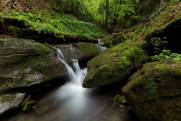 Una Cascata Mezzo Una Magica Natura Selvaggia Rocce Ricoperte Muschio — Foto Stock