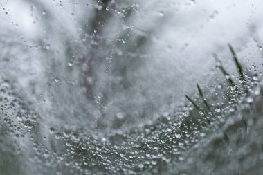 Ağ ipliklerine çiy damlaları düşer - doğal soyutlama, arka plan, dokular. Çiy damlalı örümcek ağı. Soyut arkaplan. Kısmi bulanık görüş çizgileri Örümcek ağı gerdanlığı