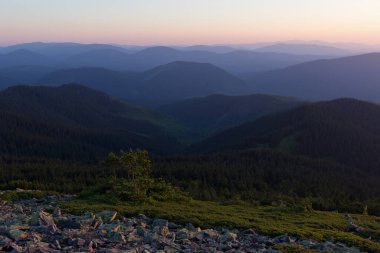 Karpatlar 'ın eşsiz dağ manzaraları. Gorgany bölgesi, Karpatlar 'ın belirli bir bölümü, taş yataklarıyla kaplıdır. İnanılmaz bir sabah manzarası. Karpatlar için altın saat