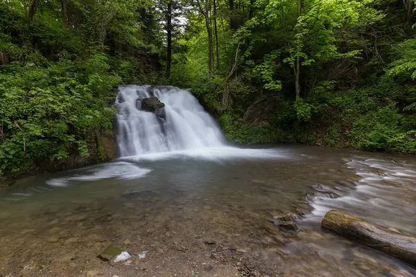 Dağlarda şelale, nehir akıntıları, hızlı akış, yosun tutmuş kayaların üzerinde kristal berrak su akan el değmemiş Karpatya manzarası. Fotoğraf duvar kağıdı, doğanın ve dünyanın güzelliği..