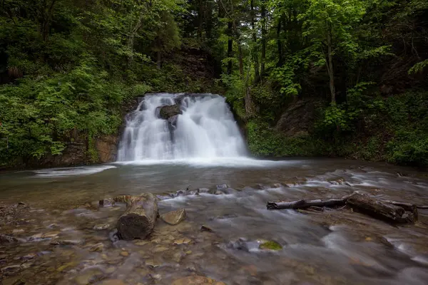 Dağlarda şelale, nehir akıntıları, hızlı akış, yosun tutmuş kayaların üzerinde kristal berrak su akan el değmemiş Karpatya manzarası. Fotoğraf duvar kağıdı, doğanın ve dünyanın güzelliği..
