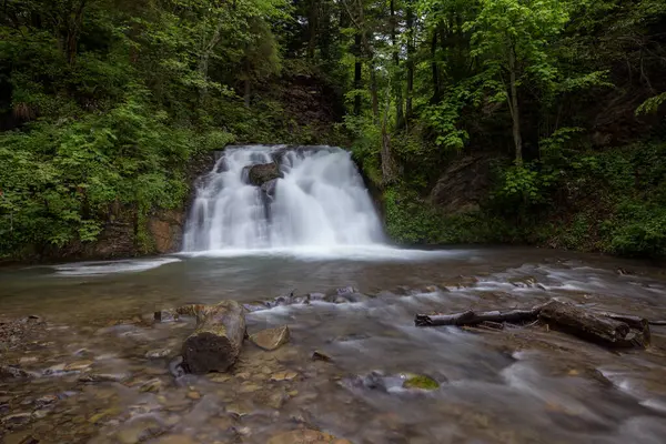 Dağlarda şelale, nehir akıntıları, hızlı akış, yosun tutmuş kayaların üzerinde kristal berrak su akan el değmemiş Karpatya manzarası. Fotoğraf duvar kağıdı, doğanın ve dünyanın güzelliği..