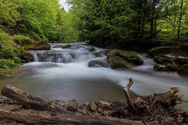 Dağlarda şelale, nehir akıntıları, hızlı akış, yosun tutmuş kayaların üzerinde kristal berrak su akan el değmemiş Karpatya manzarası. Fotoğraf duvar kağıdı, doğanın ve dünyanın güzelliği..