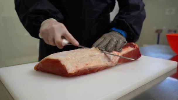 Carnicero Con Guantes Protectores Metal Rellena Pedazo Carne Cerdo Una — Vídeos de Stock