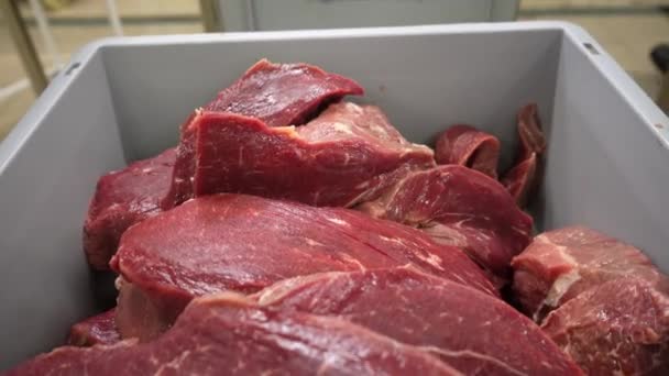 Close Fresh Raw Beef Meat Lies Counter Meat Shop — Αρχείο Βίντεο