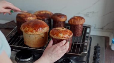 Paskalya pastası pişiren bir kadın. Taze pişmiş Paskalya pastaları.