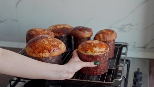 Una Donna Cucina Dolci Pasquali Torte Pasquali Appena Cotte — Video Stock