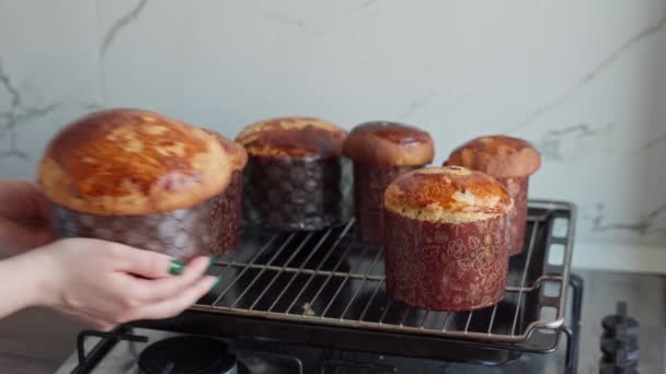 여자가 부활절 케이크를 요리한다 부활절 케이크 — 비디오
