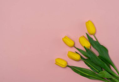 Pembe arka planda bir buket sarı lale. Metin için alanı kopyala