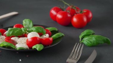 Domatesli, mozzarella ve fesleğenli Salata Caprese. İtalyan yemeği.