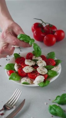 Domatesli, mozzarella ve fesleğenli Salata Caprese. İtalyan yemeği. Adamın eli Caprese salatasını süslüyor.