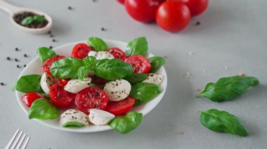 Domatesli, mozzarella ve fesleğenli Salata Caprese. İtalyan yemeği.