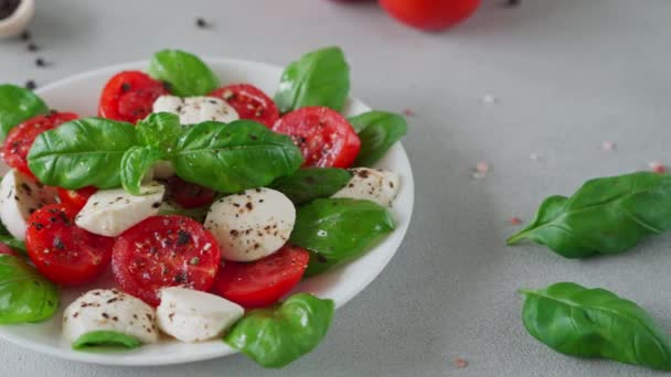 Caprese Salad Ripe Tomatoes Mozzarella Cheese Fresh Basil Leaves Light — Stock Video