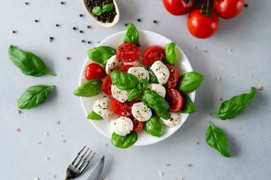 Olgun domatesli Caprese salatası ve açık arkaplanda taze fesleğen yapraklı mozzarella peyniri. İtalyan yemeği. Metin için alanı kopyala