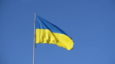 Mavi ve sarı renkli Ukrayna bayrağı mavi gökyüzünün arka planında dalgalanır. Yavaş çekim