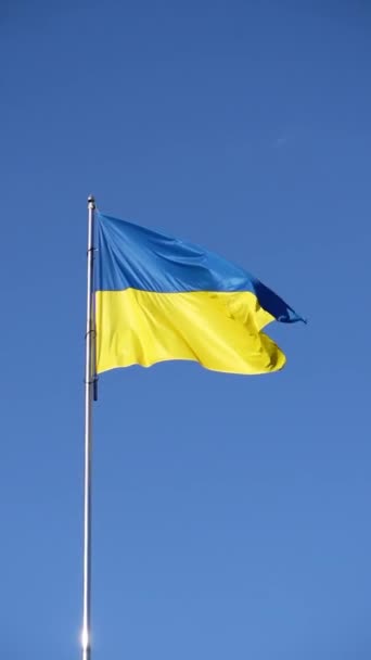 Флаг Украины Синего Желтого Цветов Развевается Воздухе Фоне Голубого Неба — стоковое видео