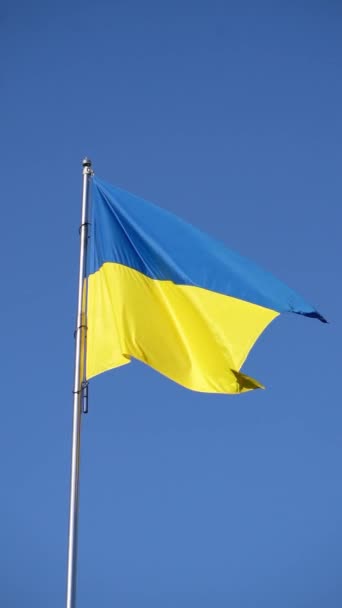 Флаг Украины Синего Желтого Цветов Развевается Воздухе Фоне Голубого Неба — стоковое видео