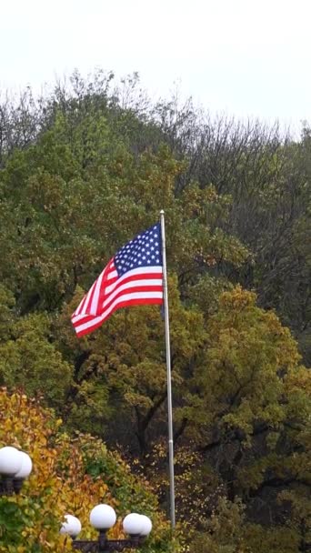 Bandera Americana Bandera Nacional Ondeando Viento Contra Fondo Árboles Verdes — Vídeos de Stock