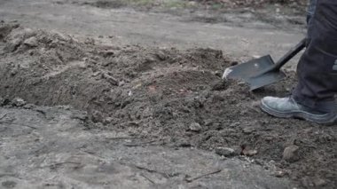 İşçi, bir kürekçi ile yere elektrik telleri döşeyip bir hendek kazıyor.