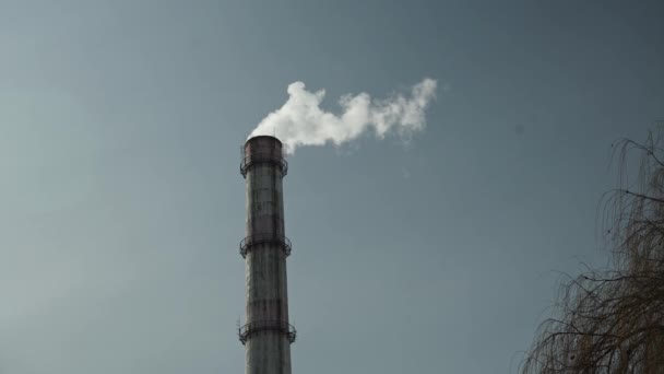Tubo Usina Térmica Está Fumando Fundo Céu Azul Usina Térmica — Vídeo de Stock