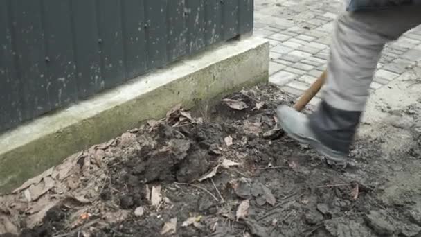 工人们用铲子把电线挖到地下 用铲子在地上挖沟渠 — 图库视频影像