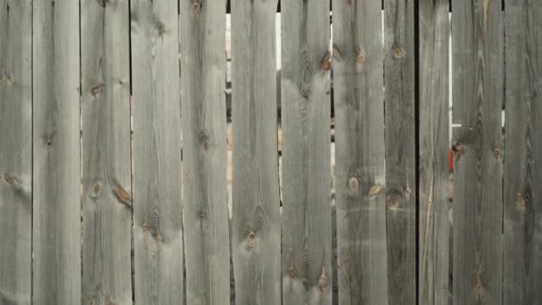Szary Stary Wood Plank Tekstury Tła Tło Drewna — Wideo stockowe