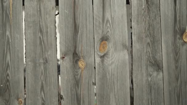 グレーの古い木製のプランクのテクスチャの背景 ウッドバック — ストック動画
