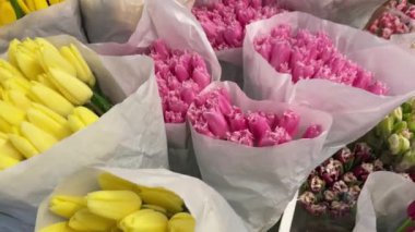 Paketlerde farklı renkte lalelerin güzel buketleri, bahar çiçeği pazarı