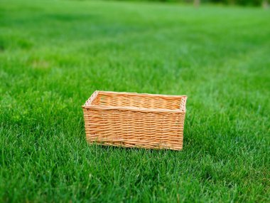 Boş Hasır Sepet yeşil çimlerin üzerinde. Metin için alanı kopyala