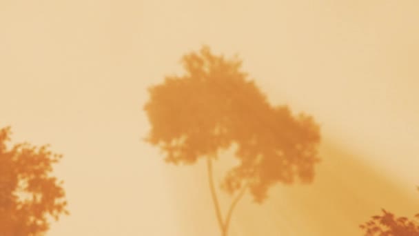 Animation Φόντου Δέντρα Και Ακτίνες Του Ήλιου Αφαίρεση Τοπίου — Αρχείο Βίντεο