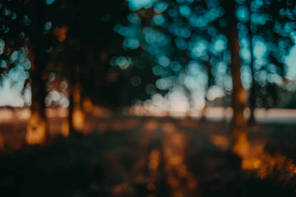 Bokeh Skogen Vid Solnedgången Med Färgglada Gult Och Blått Abstrakt — Stockfoto