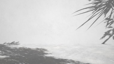 Ürün sunumu için stüdyo arka planı. Güneş ışığı ve duvarında yaprakların gölgesi olan boş bir oda. Kozmetik reklamları ve diğer ürünler için podyum. 3d oluşturma