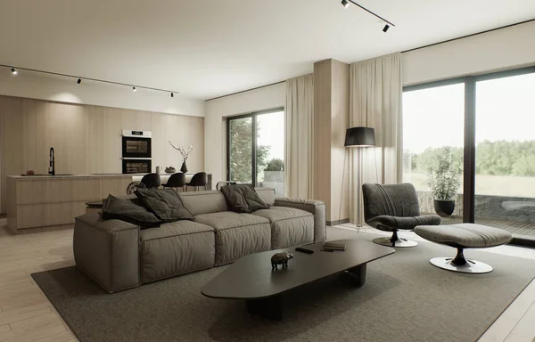 Interior Studio Ruang Tamu Dan Dapur Dengan Ruang Terbuka Sofa — Stok Foto