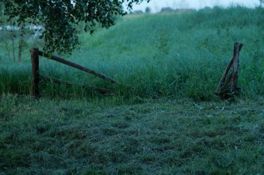 Soldaki kırık ahşap çit direği ve sağdaki üç ayaklı ahşap yapı yemyeşil çimlerin arasında duruyor, tepesinde bir ağaç dalı var..