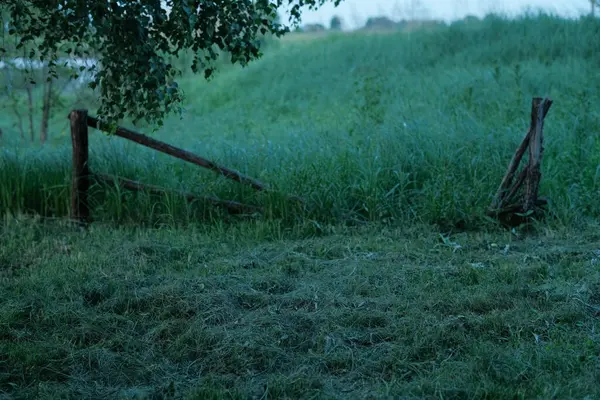 Soldaki kırık ahşap çit direği ve sağdaki üç ayaklı ahşap yapı yemyeşil çimlerin arasında duruyor, tepesinde bir ağaç dalı var..