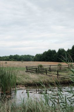 Geniş bir açık alanı, kırsal ahşap çitleri ve bulutlu bir gökyüzünün altında yumuşak bir su yolunu gösteren sakin bir manzara.