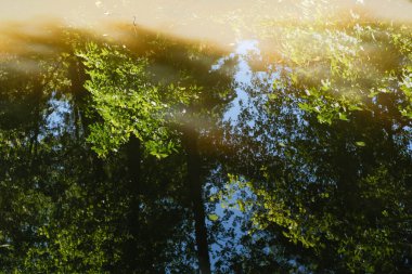 Bu görüntü, yemyeşil ağaçların ve bulanık suyun yüzeyindeki parlak mavi gökyüzünün soyut yansımalarını yakalar. Güneş ışığı parıldayan desenler ve ışık noktaları yaratır..