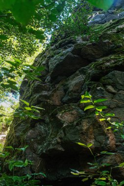 Bu düşük açılı çekimde uzun, engebeli kaya yüzeyi, yoğun olarak canlı yeşil yosun ve daha küçük bitkilerle kaplı. yemyeşil ağaç tepe örtüleri, tepeyi çerçeveleyerek, doğal ve heybetli bir manzara yaratır..