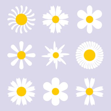 Daisy camomile icon set. Cute round flower. Decoration element. Vector illustration isolated on background.