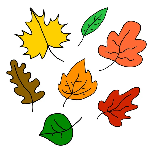 Podzimní Listí Nastaveno Kreslený Plochý Styl Vektorové Ilustrace Izolované Bílém — Stockový vektor