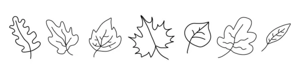 葉がセット 漫画の葉のラインスタイル 白を基調としたベクトルイラスト — ストックベクタ