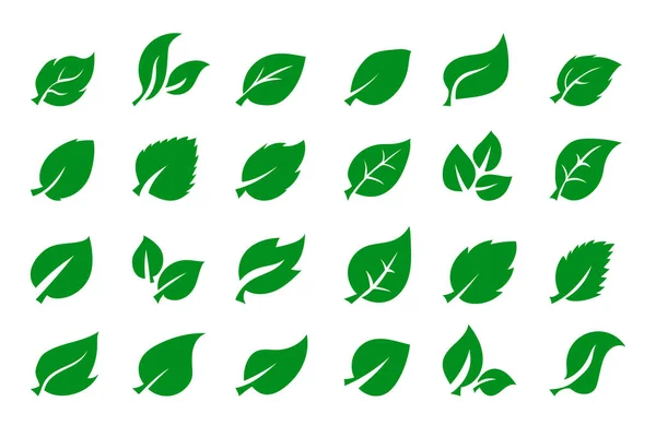 Grand Ensemble Feuilles Vertes Symboles Illustration Icônes Feuilles Vectorielles Isolées — Image vectorielle