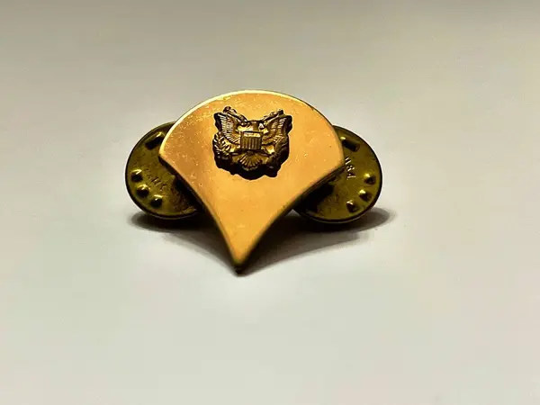  Uzman rütbesine işaret eden ABD askeri rozeti.