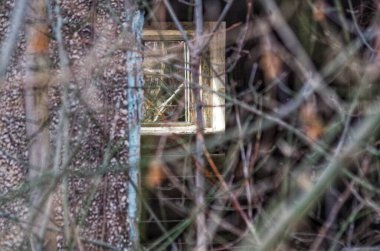 Parktaki eski ahşap kapı.