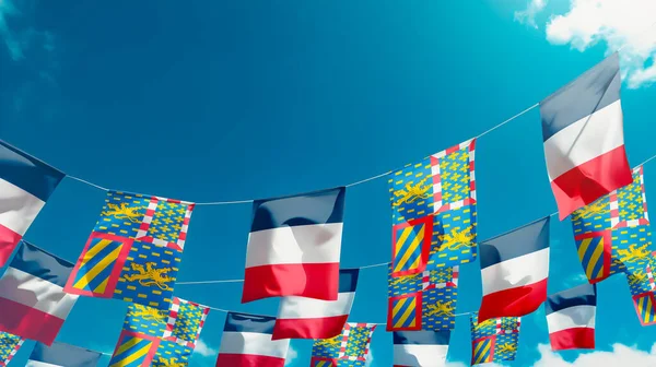 Bourgogne Franche Comt Bayrağı Fransa Gökyüzüne Karşı Bayraklar Dikey Sallanıyor — Stok fotoğraf