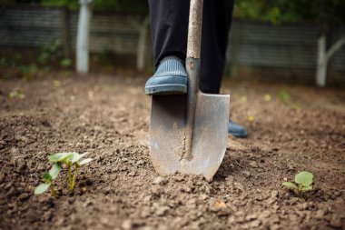 Bir çiftçinin bahçede çalışırken gösterdiği gayret, bahar mevsiminde dünyayı döndürmek için bir kürek kullanması.