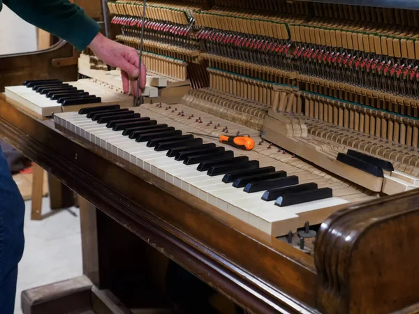 Maître Répare Vieux Piano Nettoyage Profondeur Piano Mains Ouvrier Professionnel — Photo